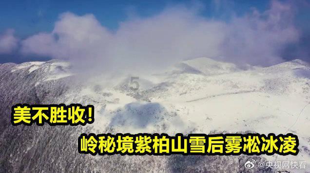 饥饿的松鼠救援