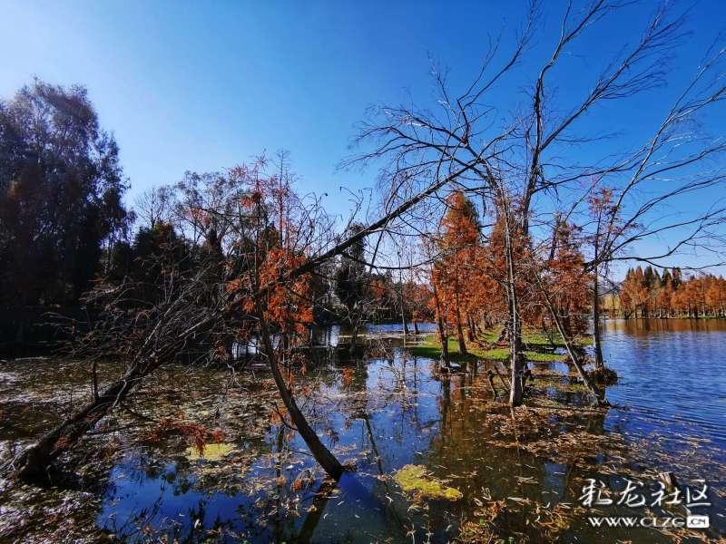 54岁翁虹深夜在街上跳舞！穿旗袍光脚踩在马路上，她的状态如何？游戏画面