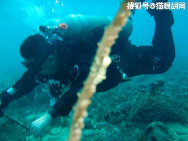 拯救足球运动员