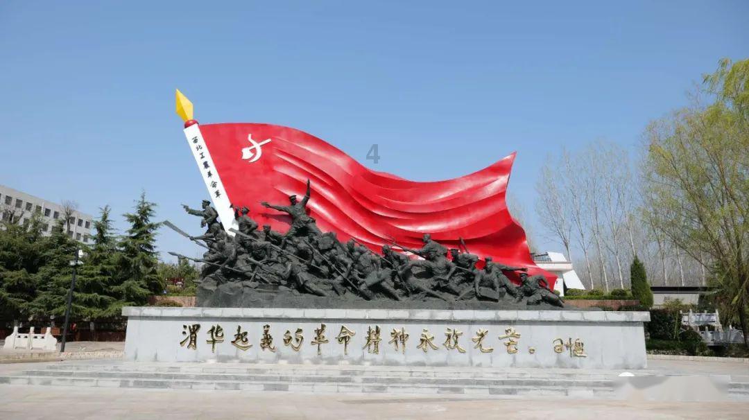 救援小犬立苏