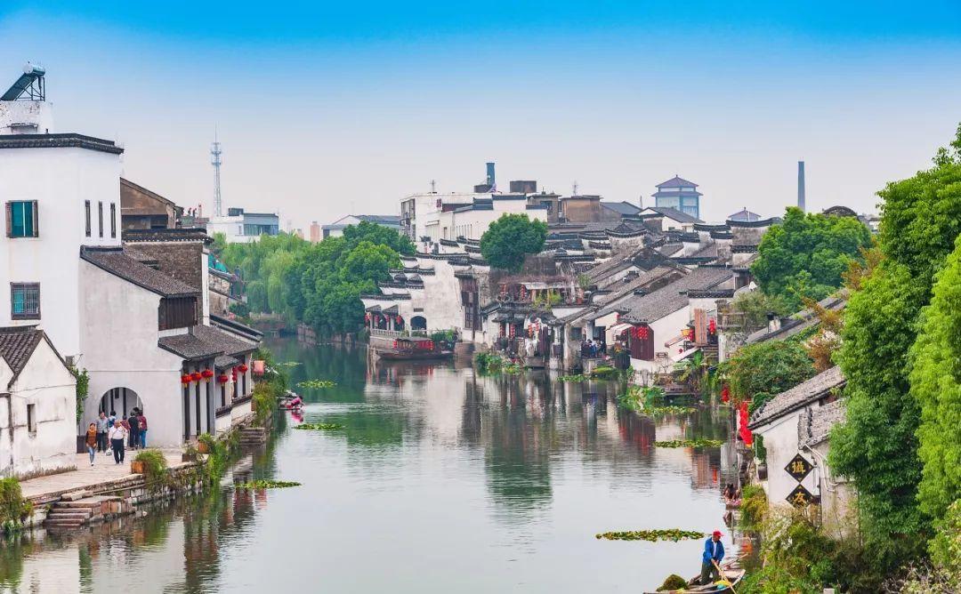 见缝插刀2